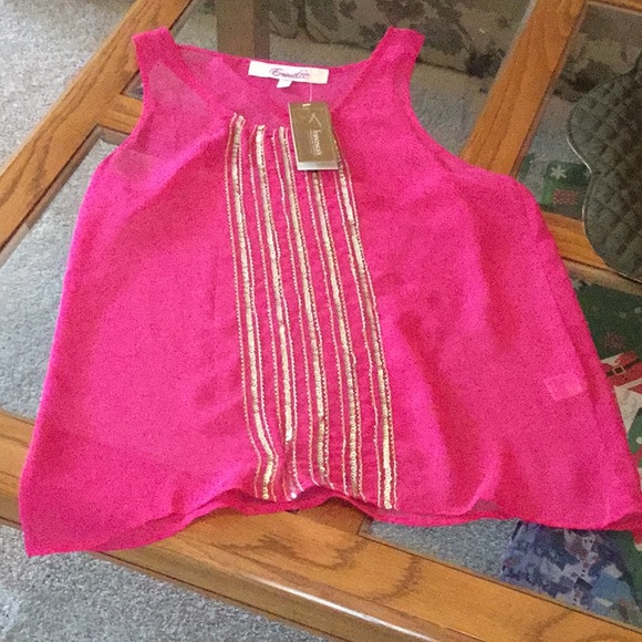 Francesca’s sheer top NWT - Picture 4 of 4